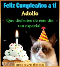 GIF Gato meme Feliz Cumpleaños Adolfo